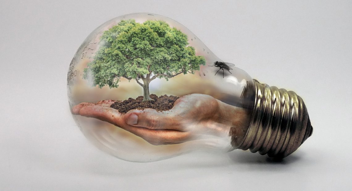 Cambio climático