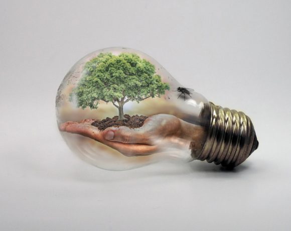 Cambio climático