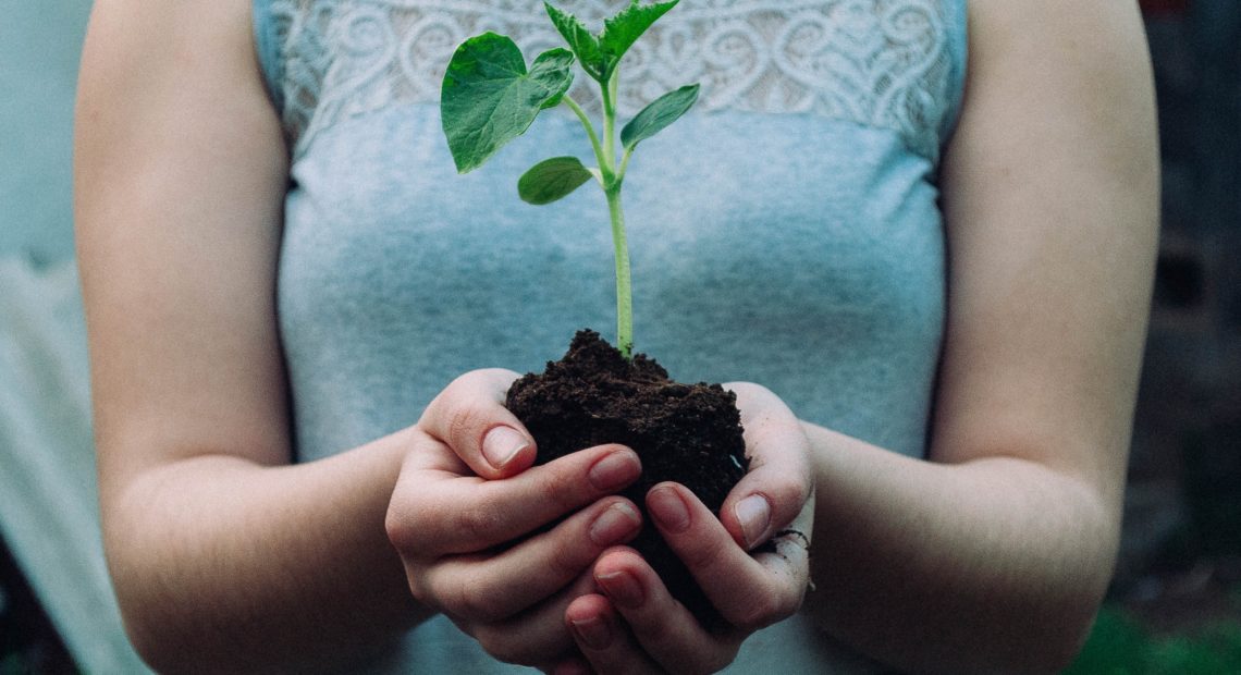 Día Mundial del Medio Ambiente