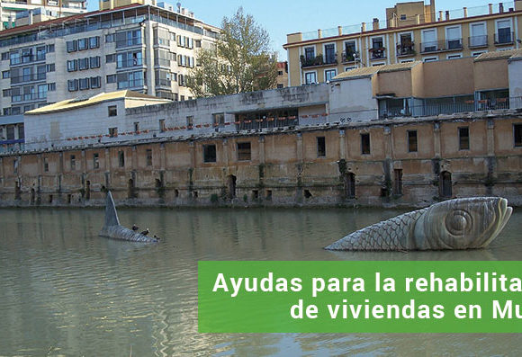 blog_ayudas_murcia