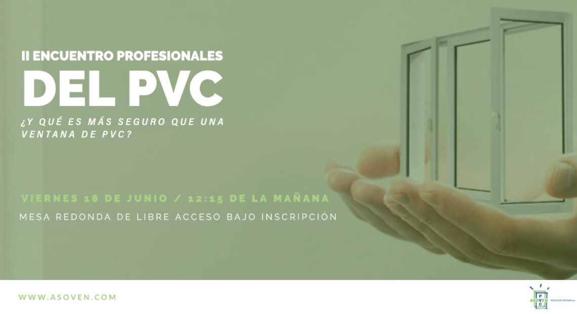 Segundo encuentro virtual de profesionales del PVC